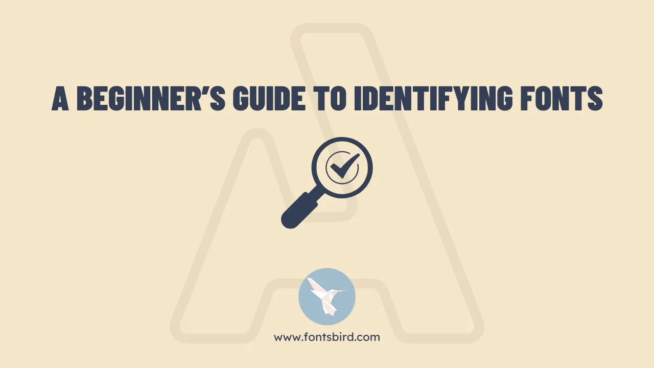 A Beginner's Guide To Identifying Fonts