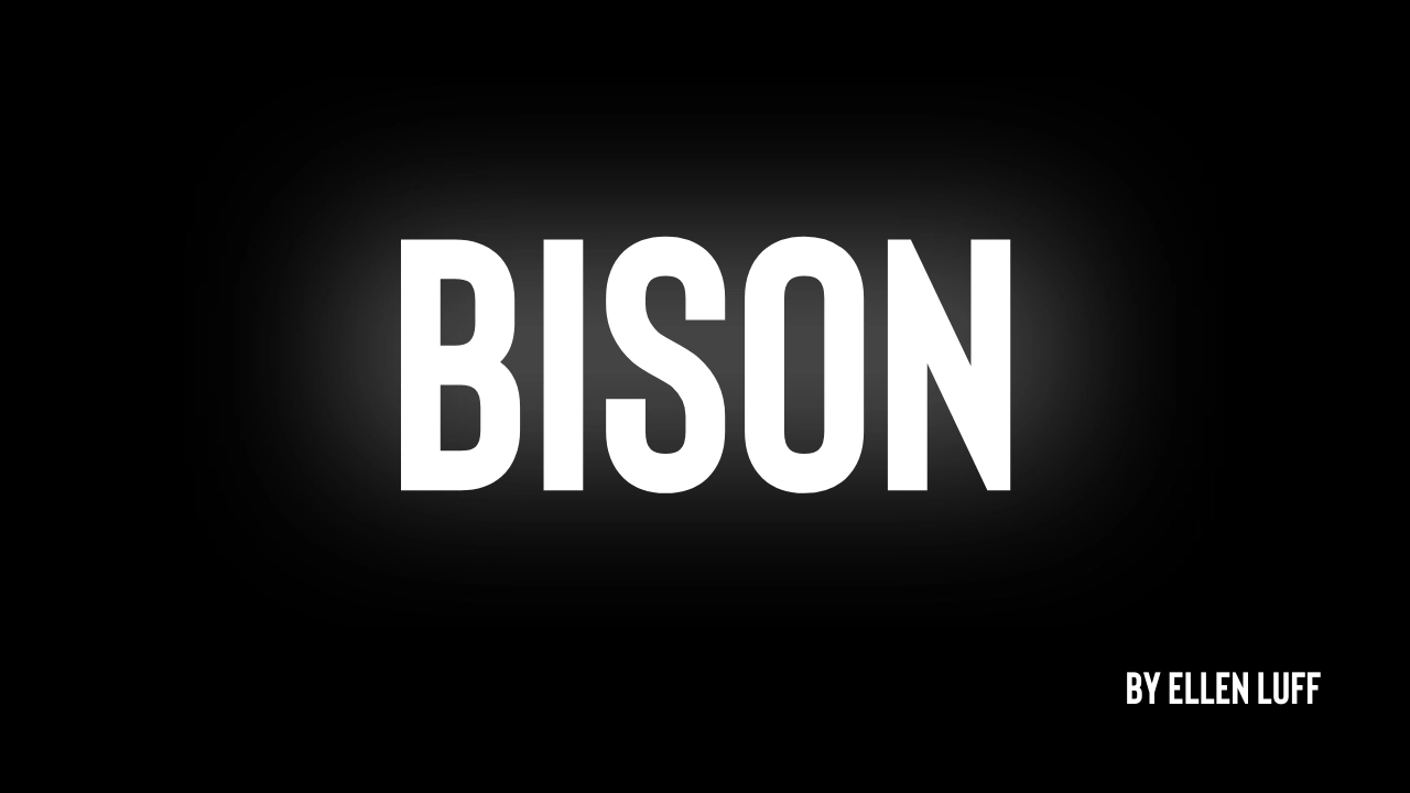 BISON FONT