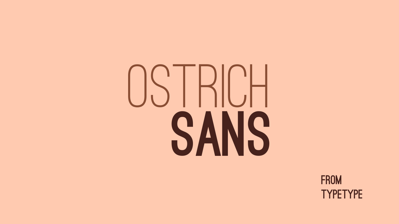 Ostrich Sans Font