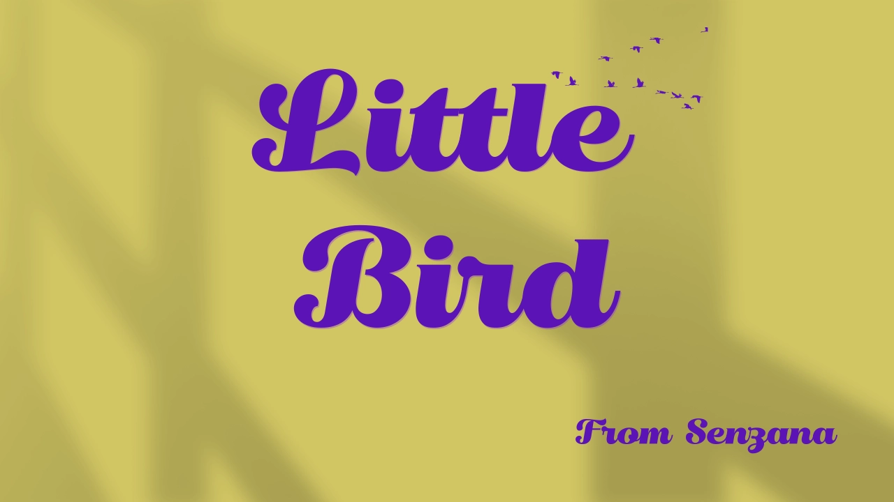 Little Bird Font